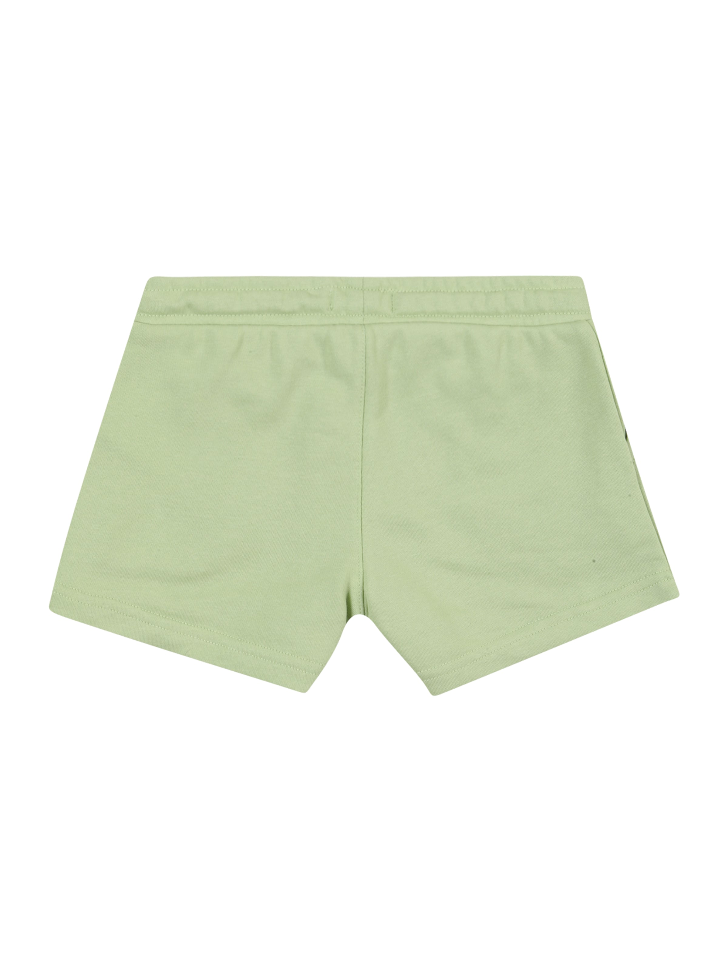 ROXY regular Παντελόνι φόρμας 'Surf Feeling' σε πράσινο