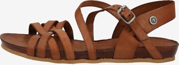 COSMOS COMFORT Sandalen met riem in Bruin