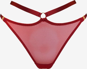 Bordelle String 'Harness' in Rot: Vorderseite
