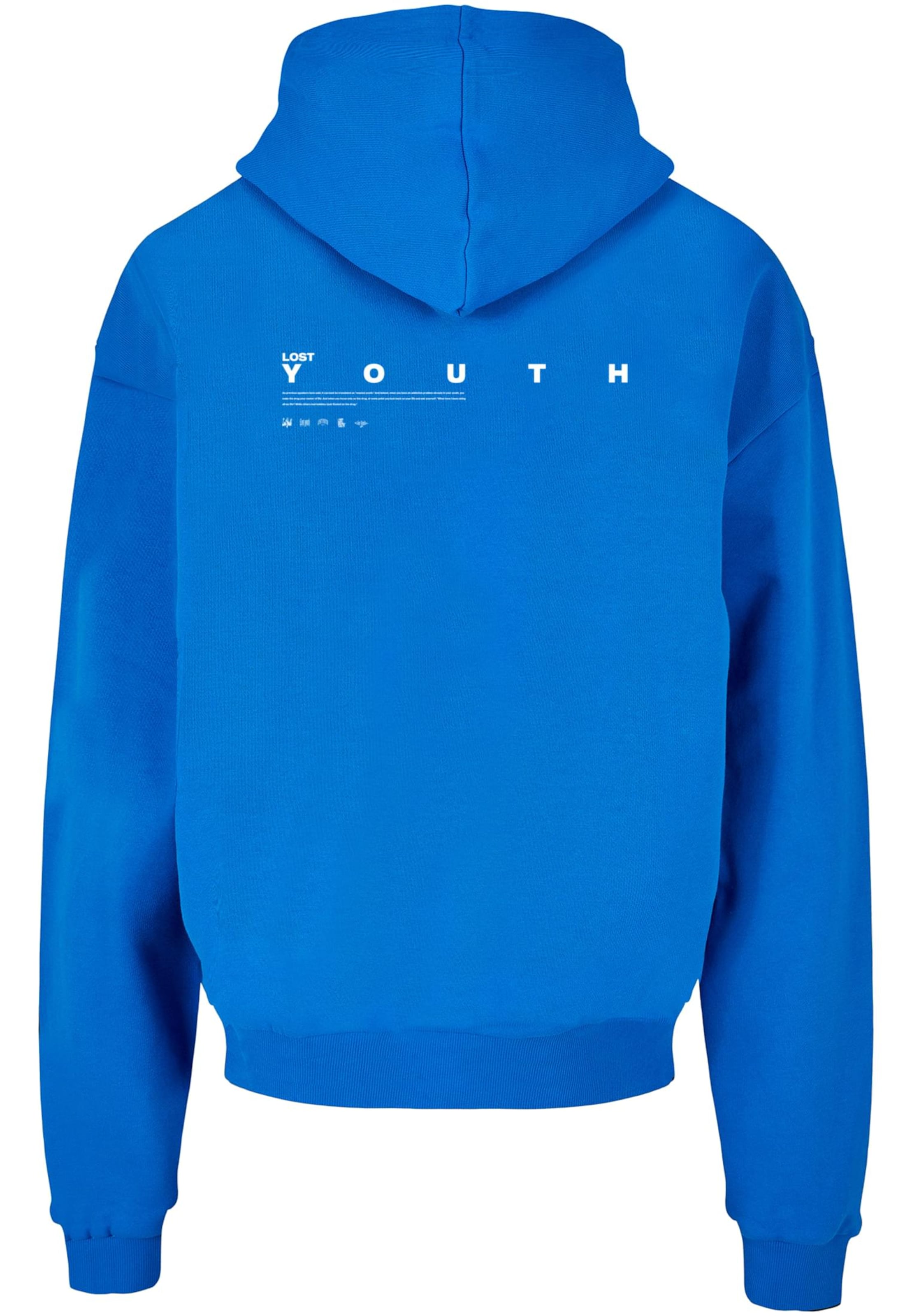 Felpa 'Dove' di Lost Youth in blu