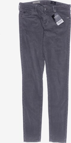 Adriano Goldschmied Pants in S in Grey: front