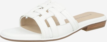 Mule PETER KAISER en blanc : devant