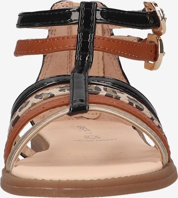 GEOX Sandals in Brown