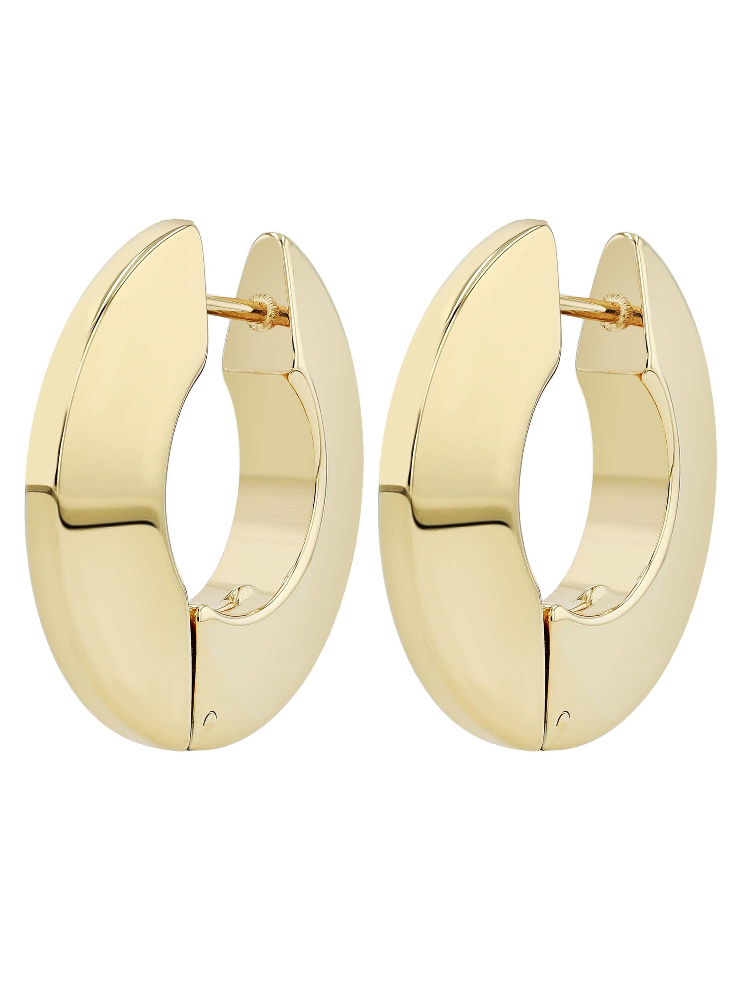 Akzent Earrings 'langlebig' in Gold: front