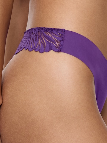 TRIUMPH String 'Red Label Pretty Micro' in Lila