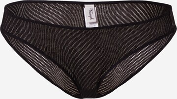 TRIUMPH - Cueca 'Harmony Spotlight' em preto: frente