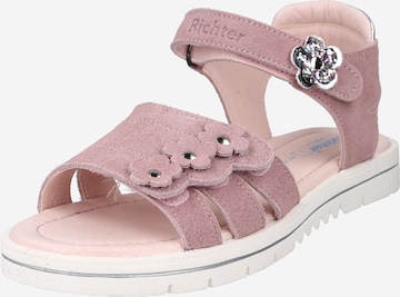 RICHTER Sandals in Pink: front