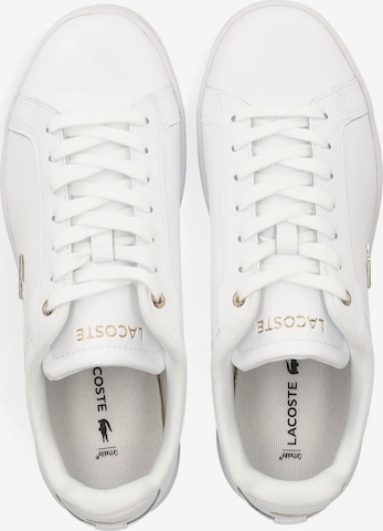 Baskets basses LACOSTE en blanc