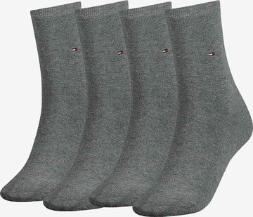 Chaussettes TOMMY HILFIGER en gris : devant