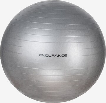 ENDURANCE Ball in Grau