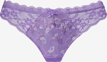 LASCANA String in Purple: front