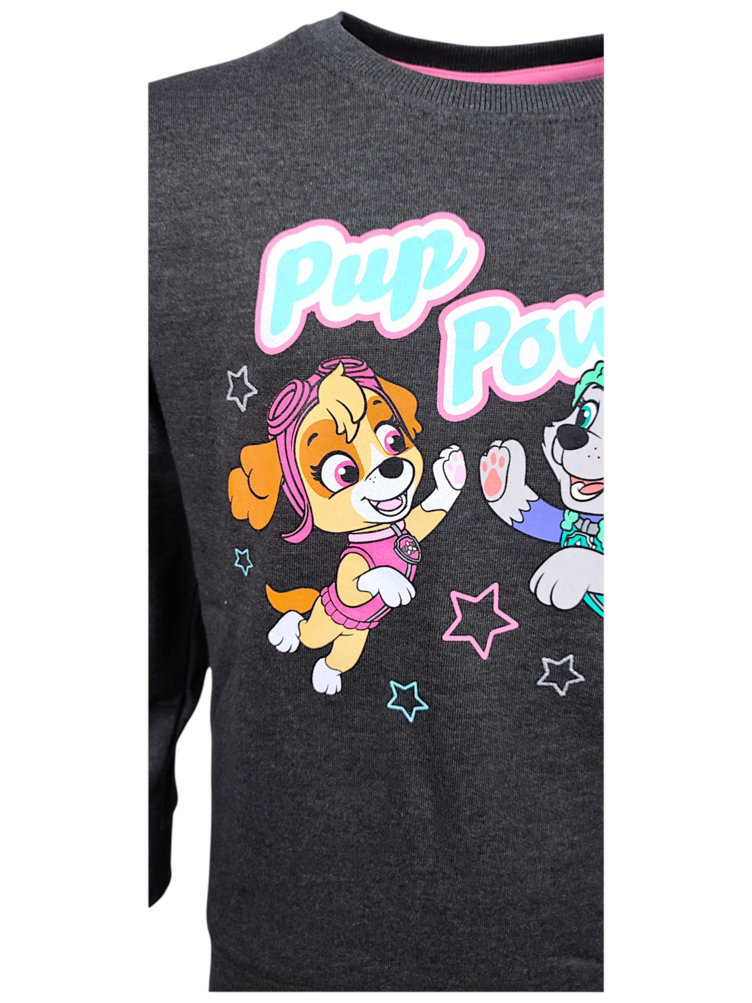 Paw Patrol Sweatshirt 'Skye'‌‌‌‌ in Grau