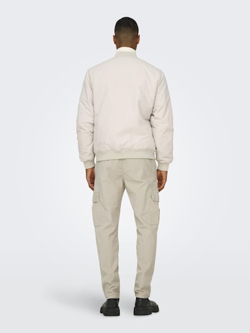 Only & Sons - Tapered Pantalón cargo 'ONSLou' en gris