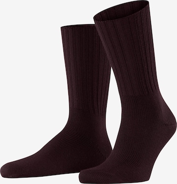 FALKE Socks 'Nelson' in Red: front
