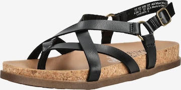 Séparateur d'orteils Blowfish Malibu en noir : devant