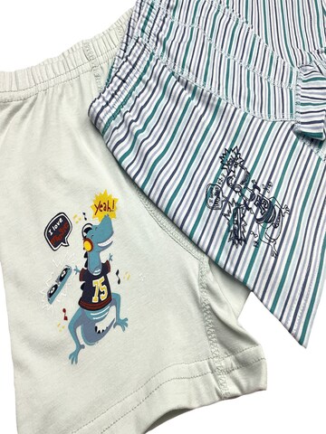 LOREZA Underpants 'Jungen Boxershorts Dinos' in Mixed colors