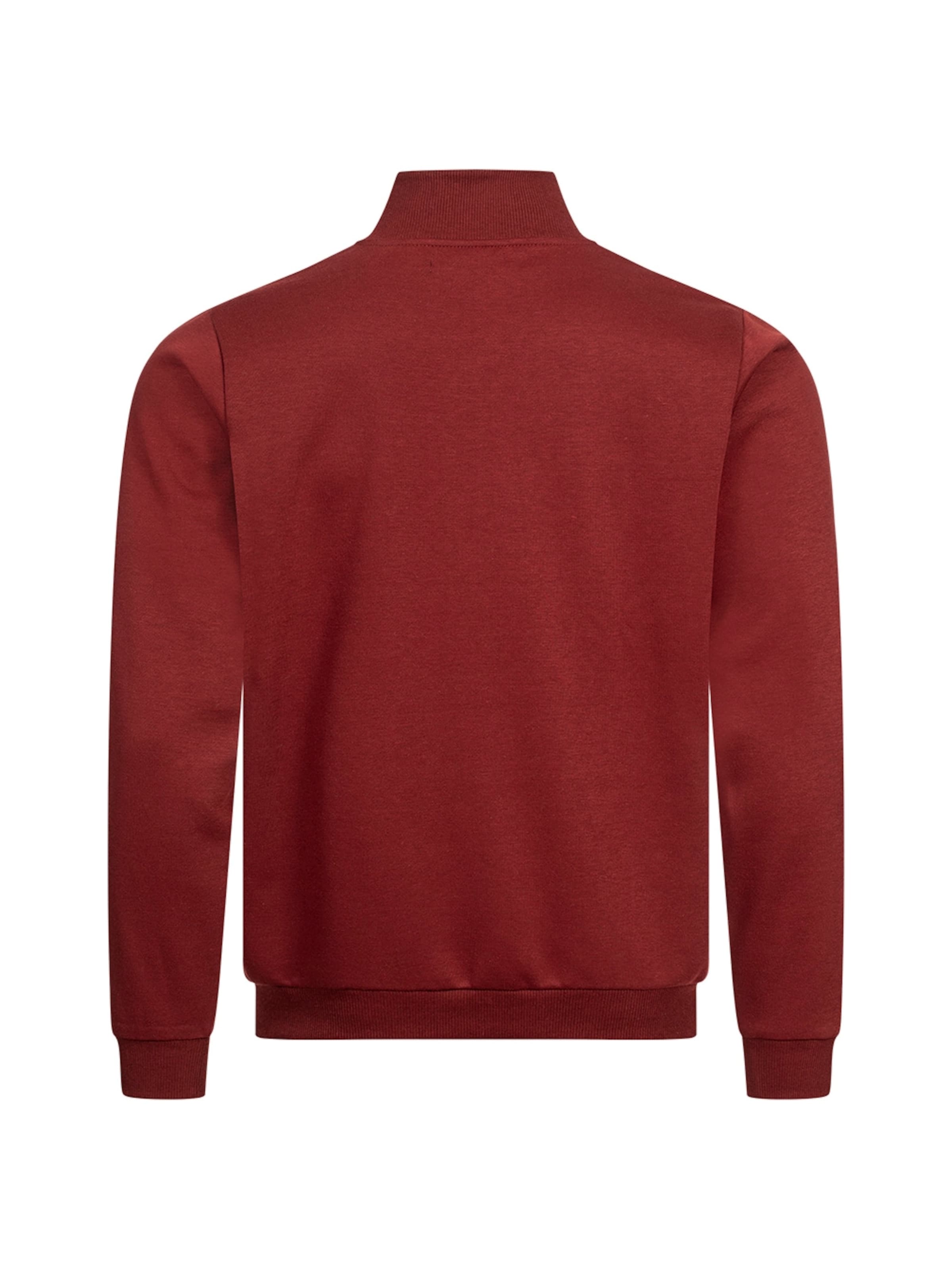 PIERRE CARDIN Sweatvest in Rood