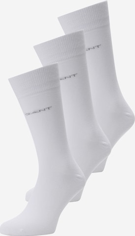 GANT Socken in Weiß: predná strana