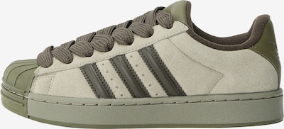 ADIDAS ORIGINALS Nízke tenisky 'SUPERSTAR' - svetlosivá / olivová / jedľová, Produkt