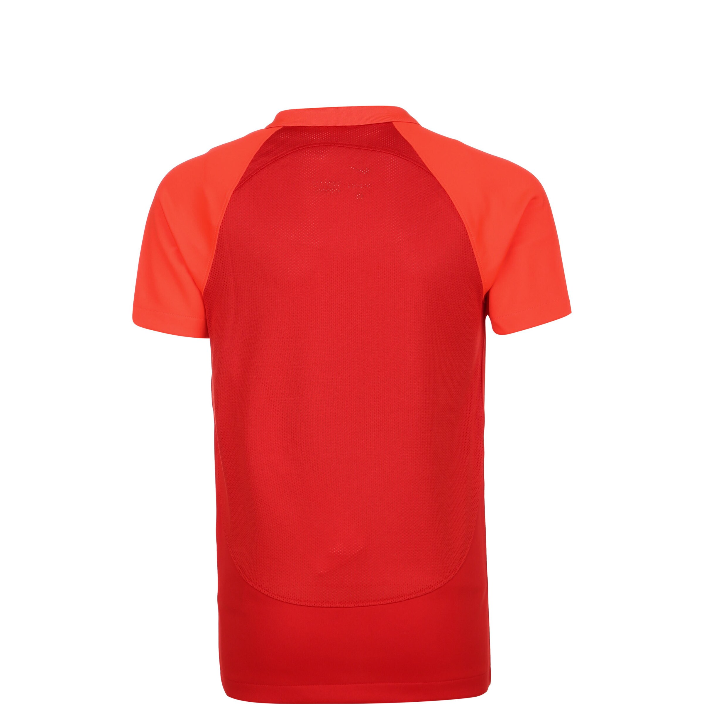 NIKE Funktionsshirt 'Academy' in Rot