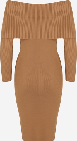 Gap Petite Knitted dress in Brown
