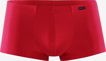Boxers ' RED2312 Minipants ' Olaf Benz en rouge : devant