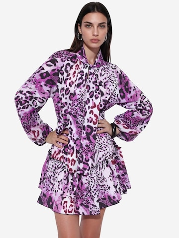 MSN Collection Obleka 'Mini' | mešane barve barva: sprednja stran