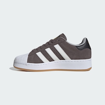 ADIDAS ORIGINALS Sneakers 'Superstar' in Brown