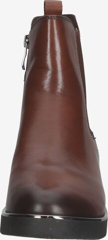 CAPRICE Chelsea Boots in Brown