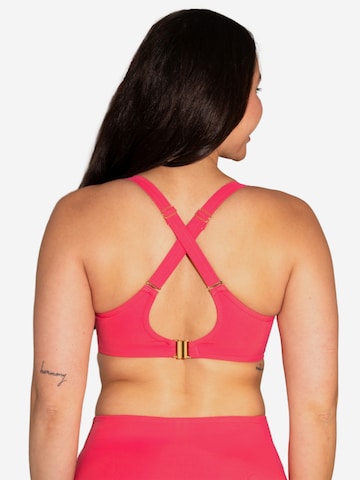 SugarShape Push-up Bikinitop 'Valencia Chic' in Roze