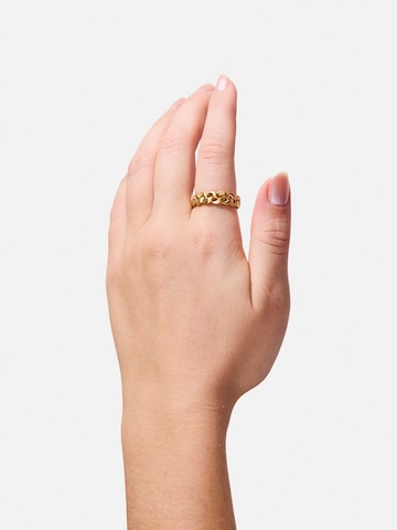 Jane Kønig Ring i guld: forside
