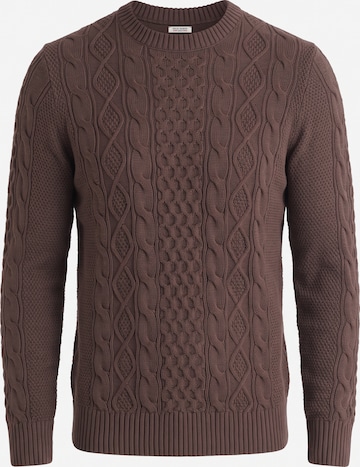 Felix Hardy Pullover in Braun: Vorderseite