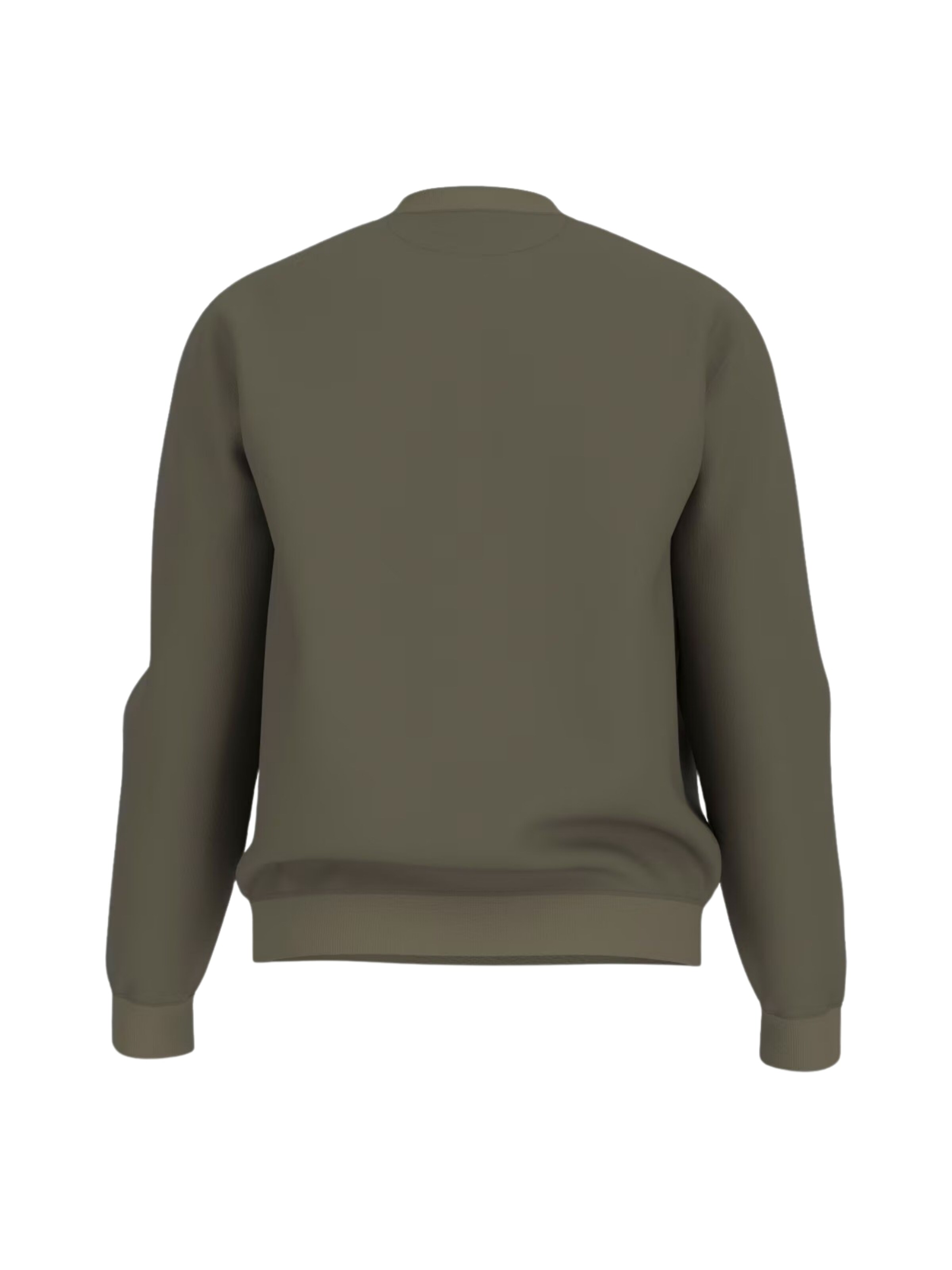 Sweat-shirt 'BEAU' GUESS en vert