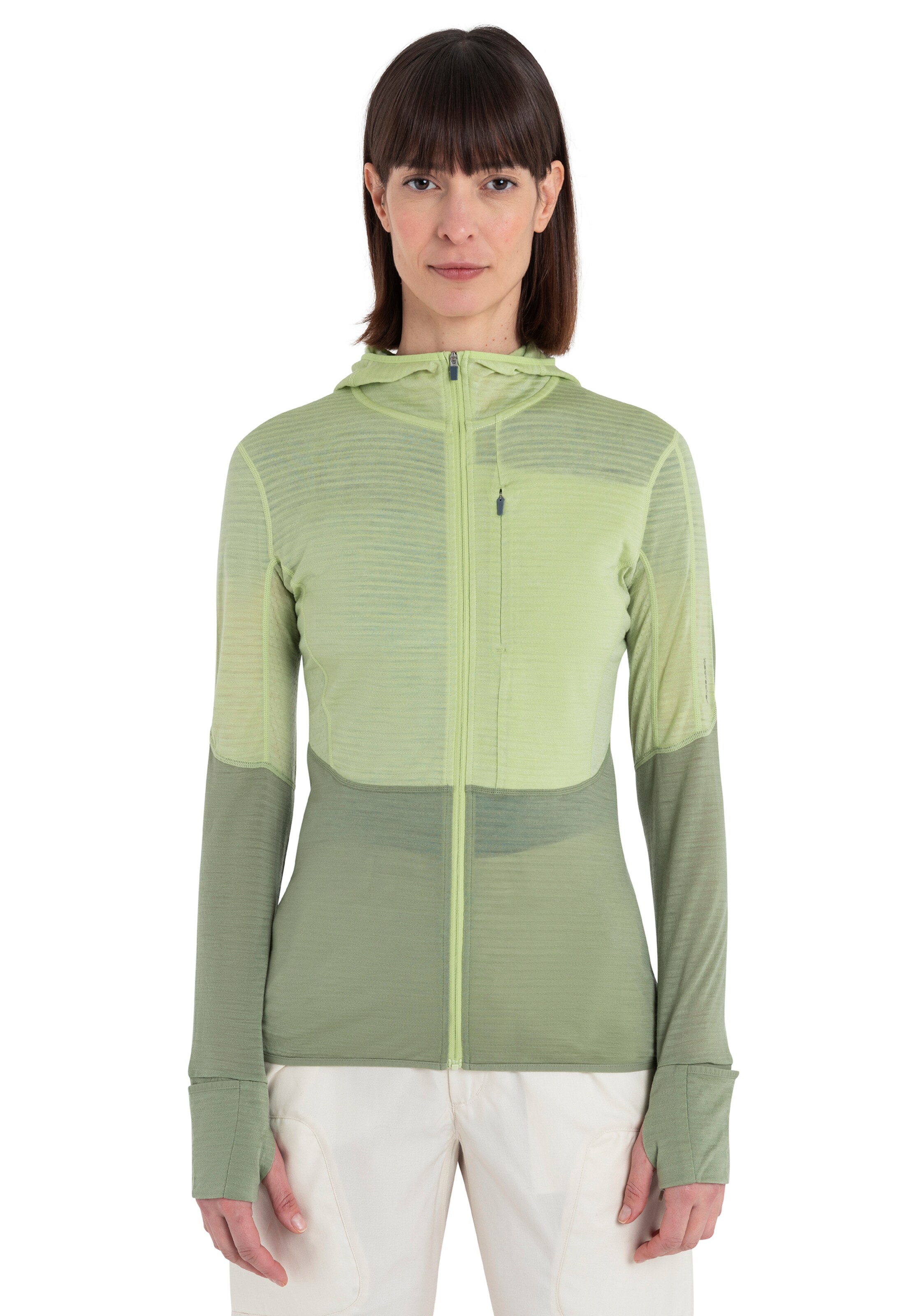 ICEBREAKERSportska sweater majica 'Realfleece Descender' - zelena boja: prednji dio