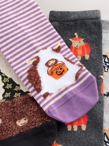 Next Sokken in Beige