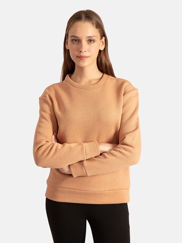 Antioch Sweatshirt in Braun: predná strana