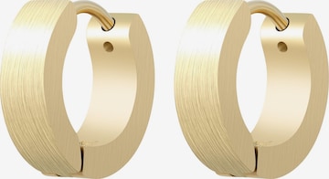 Akzent Ohrringe 'Delia, langlebig' in Gold: Vorderseite