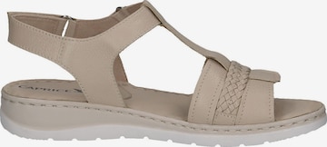 CAPRICE Sandals in Beige