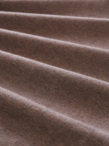 TOM TAILOR Regular Fit Pullover in Braun