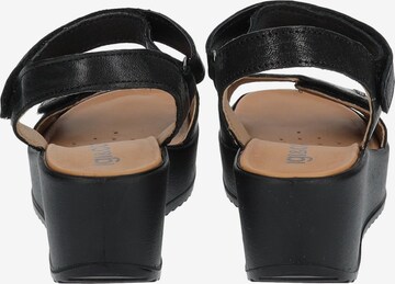 IGI&CO Sandals in Black