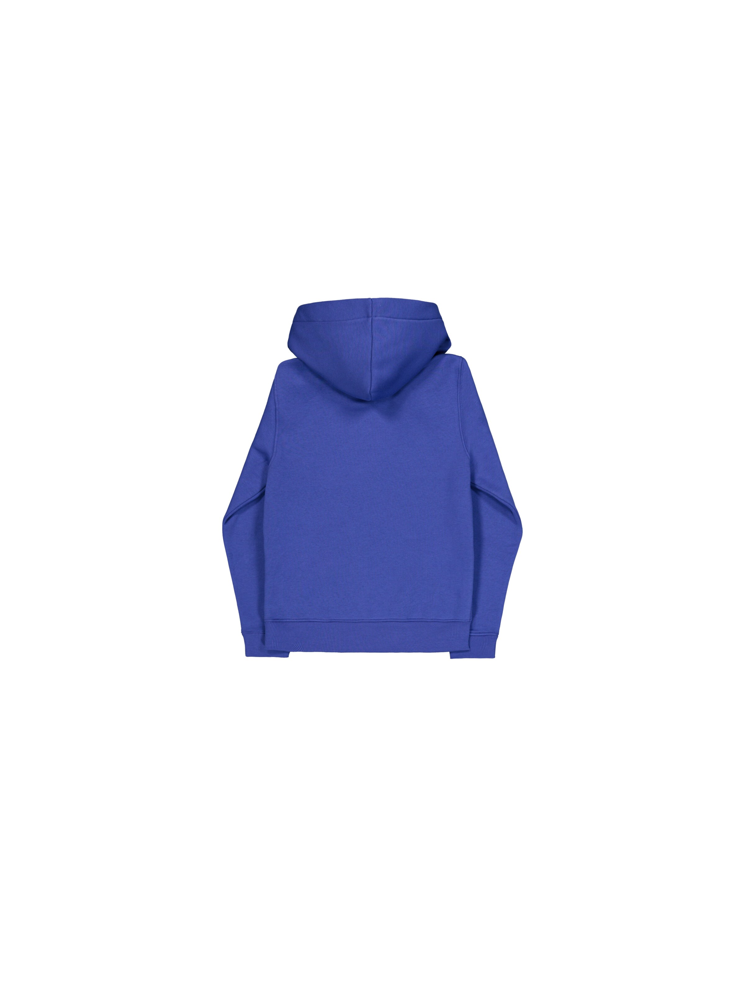 ALPHA INDUSTRIES - Sudadera en azul: atrás