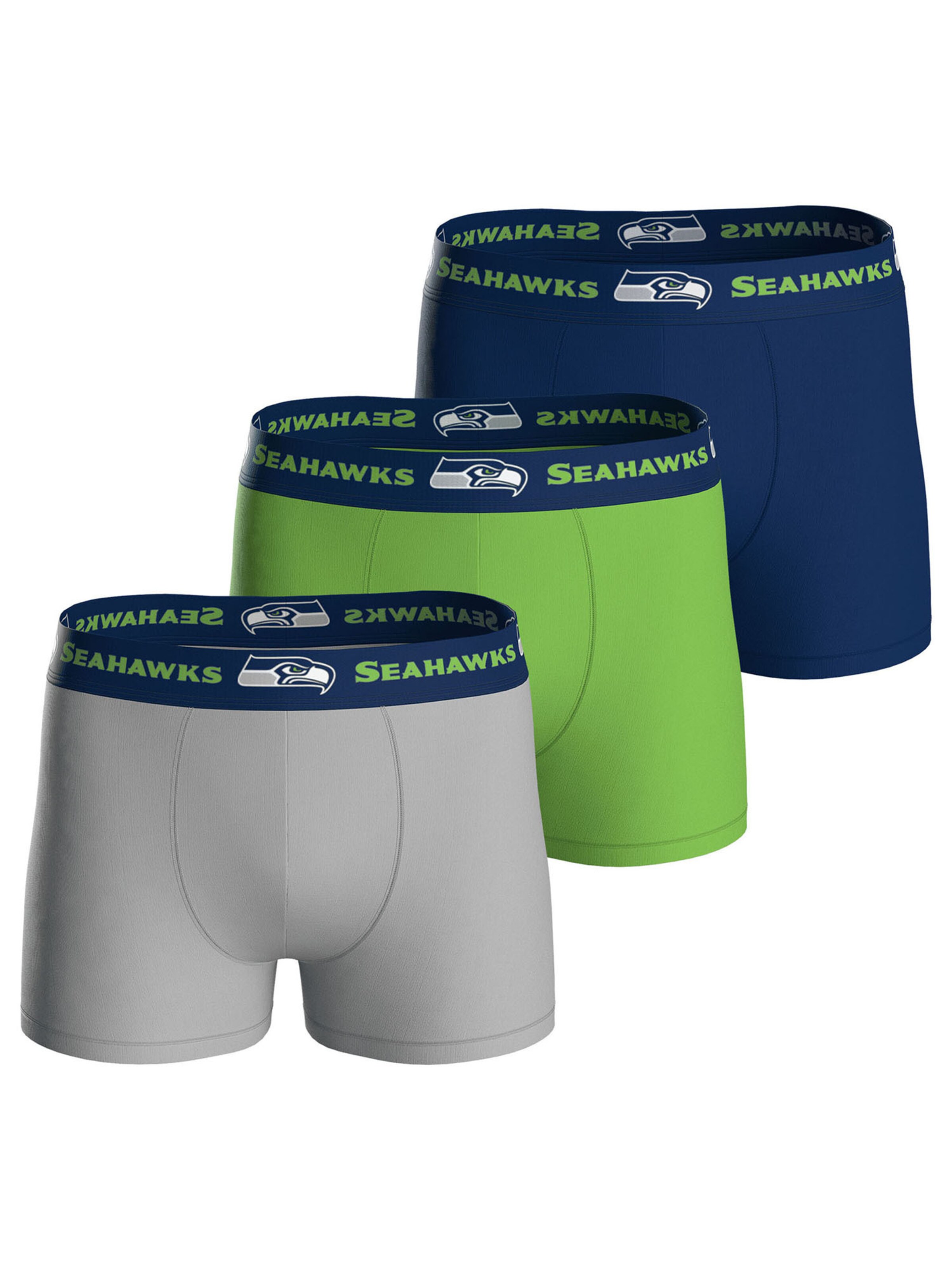 Huddle Boxer shorts ' NFL Seattle Seahawks ' in Blue: front