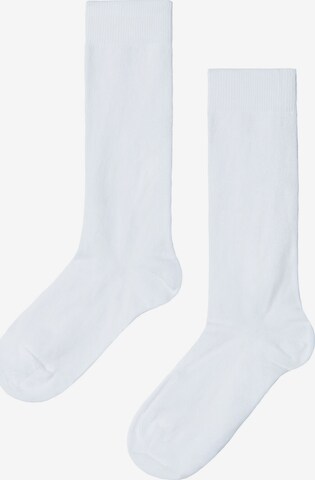 CALZEDONIA Socks in White: front