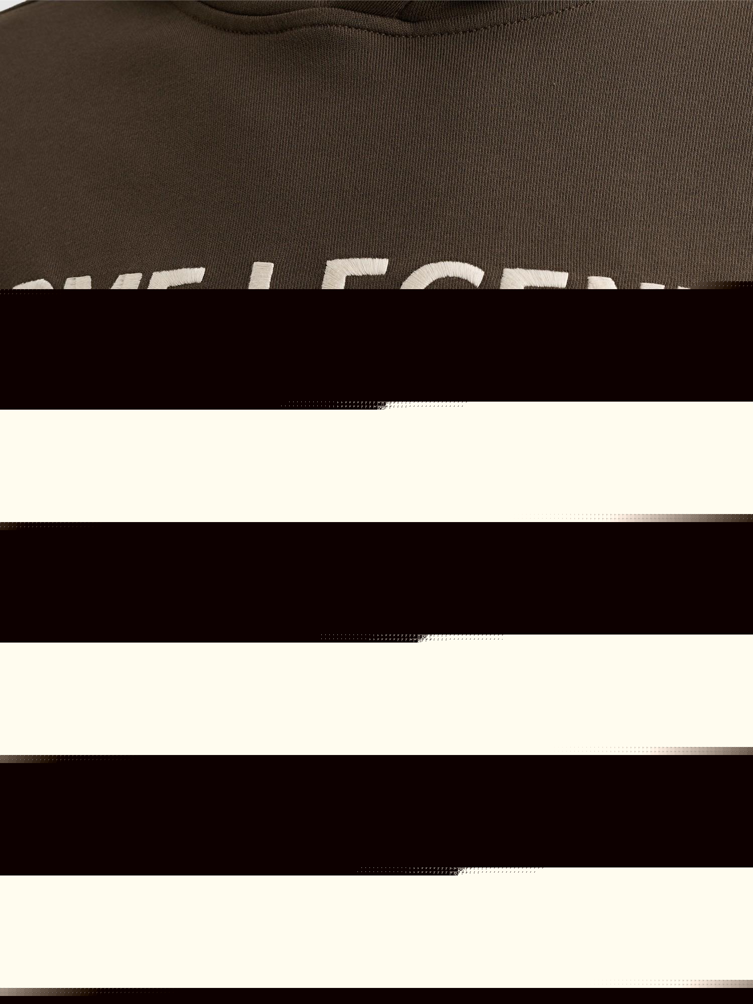 Sweat-shirt 'Hoodie in 100% cotton with logo' PME Legend en marron
