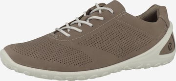 ECCO - Sapatilhas baixas 'Biom Lite' em castanho: frente