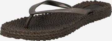 ILSE JACOBSEN T-Bar Sandals 'CHEERFUL01M' in Brown: front