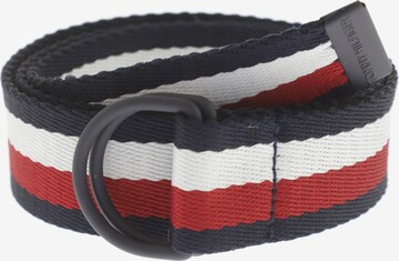 TOMMY HILFIGER Belt & Suspenders in One size in Mixed colors: front