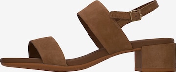 ruda ECCO Basutės su dirželiais: priekis