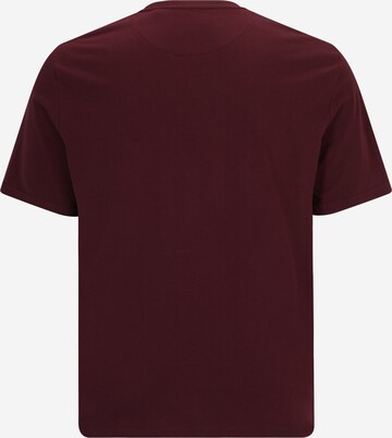 Lyle & Scott Big&Tall T-Shirt in Rot