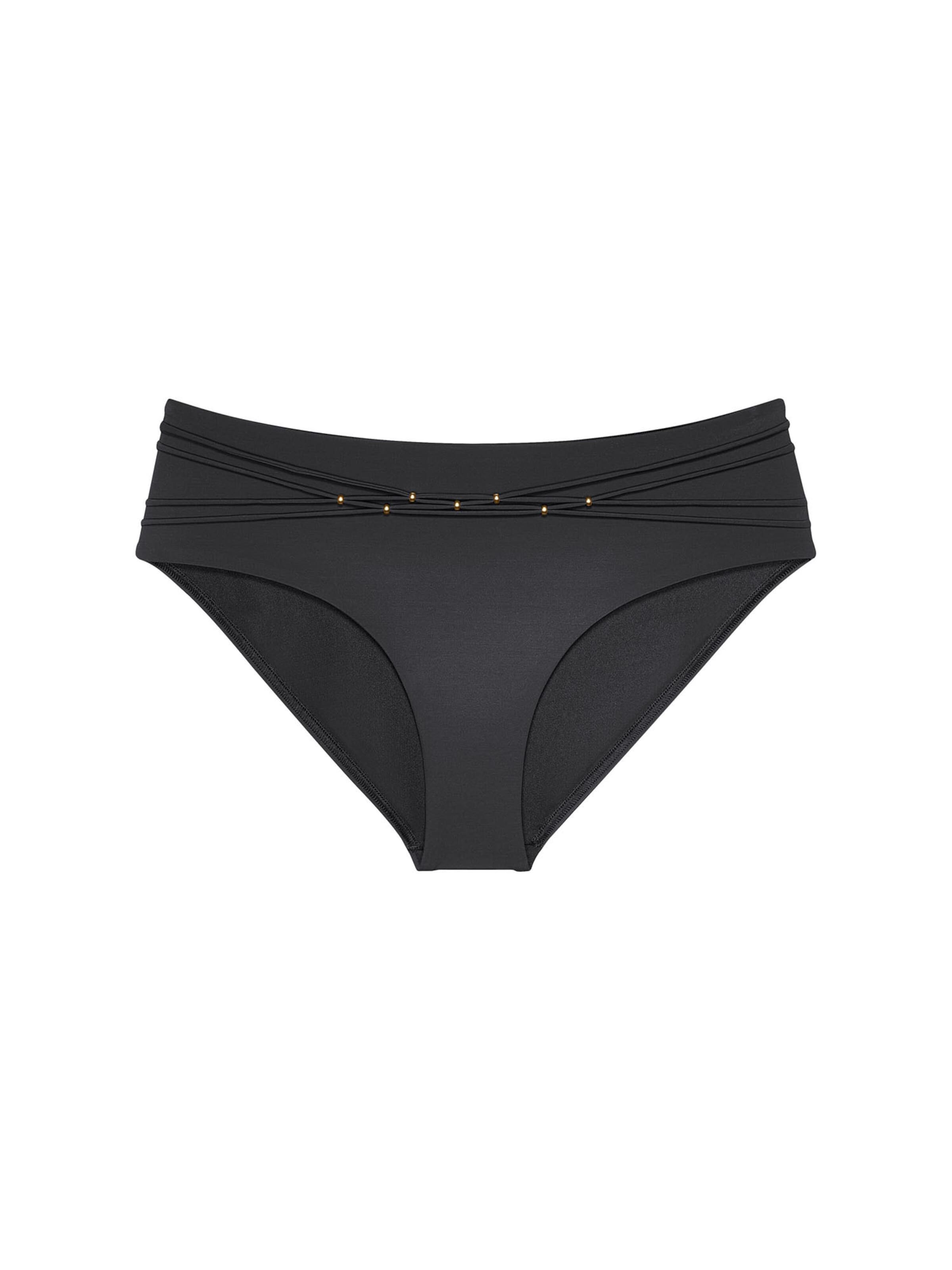 TRIUMPH Bikinibroek ' Red Label Palina Love by the Sea ' in Zwart: voorkant